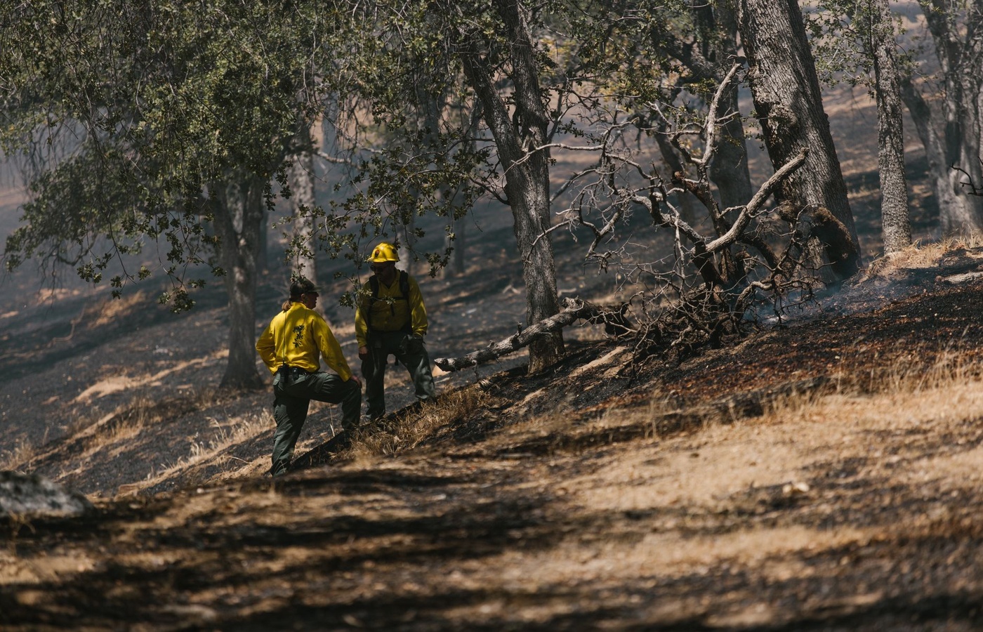 Prescribed Fire