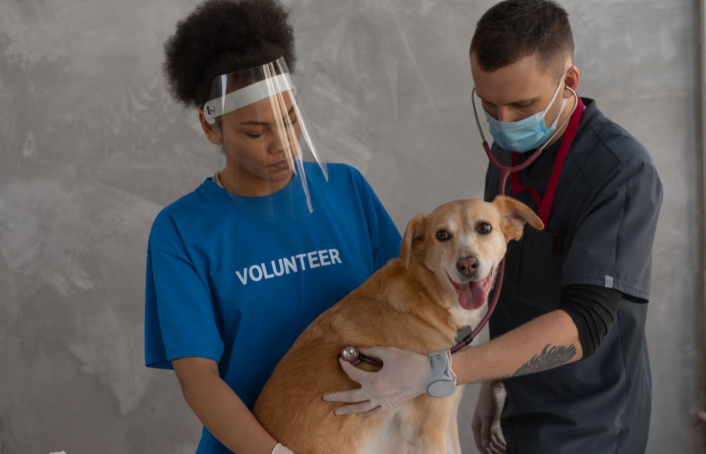Pre-Veterinary Small Animal