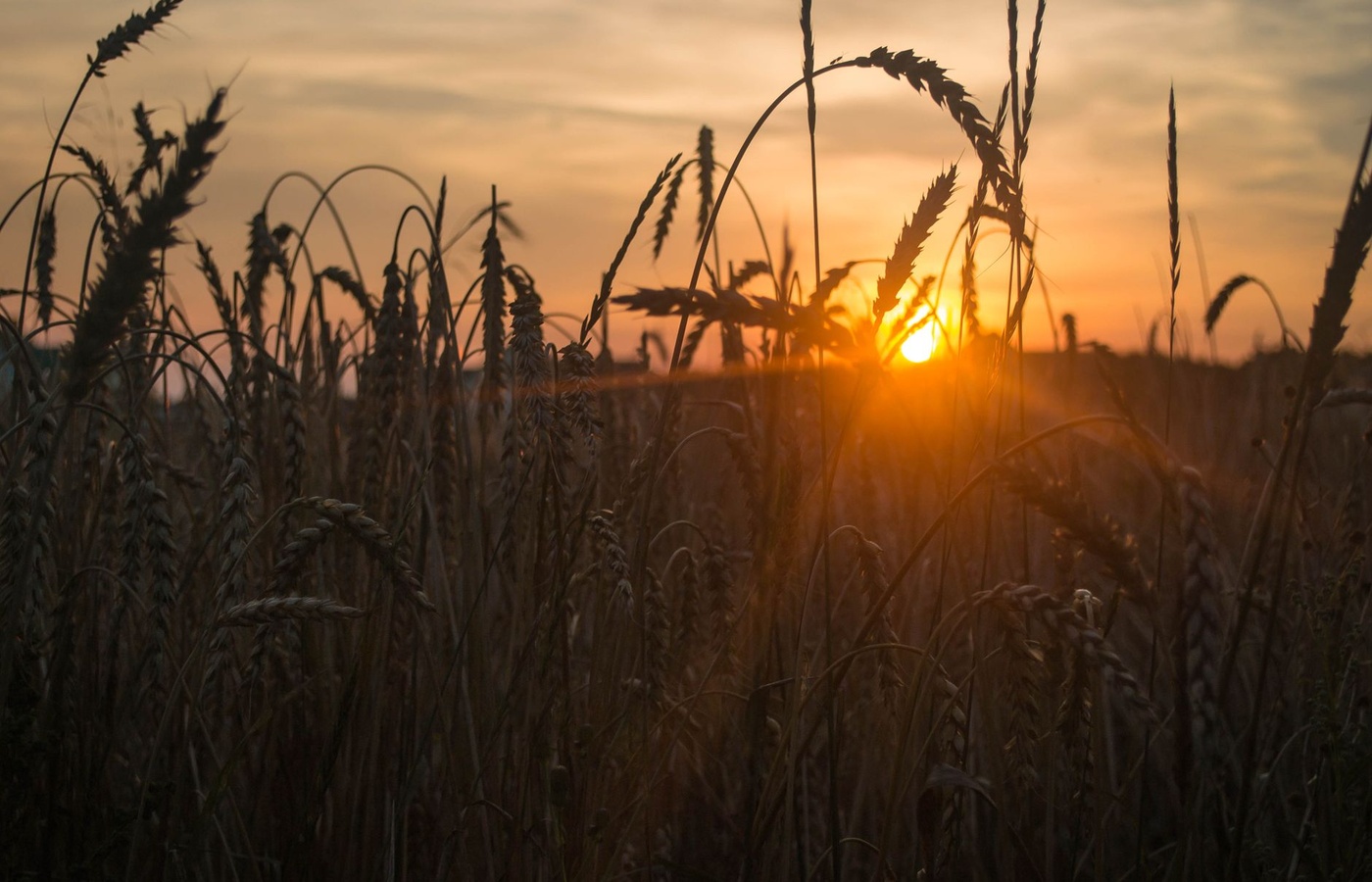 Private Pesticide Applicators
