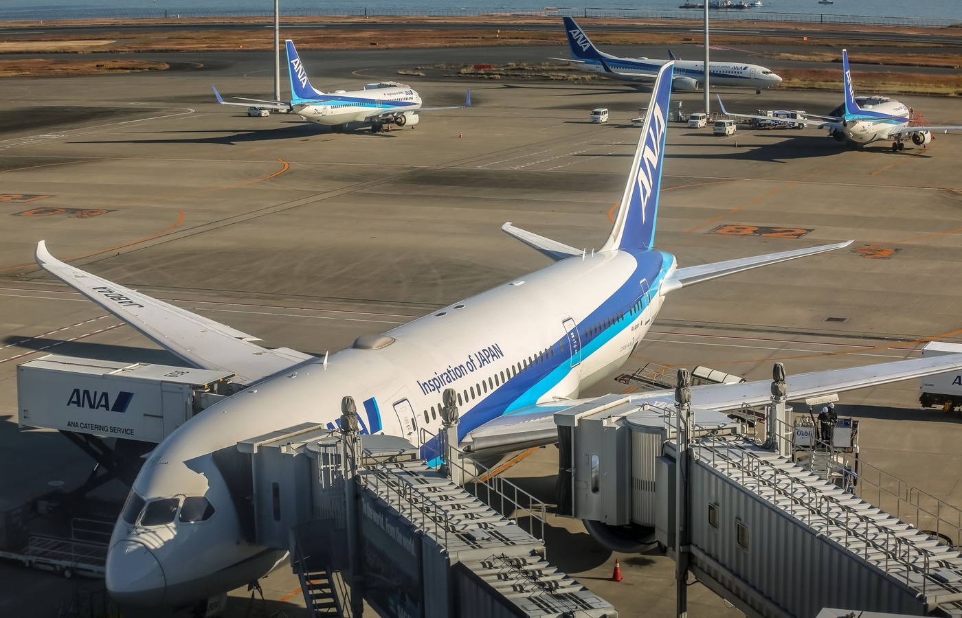 Procedures and Airport Operations