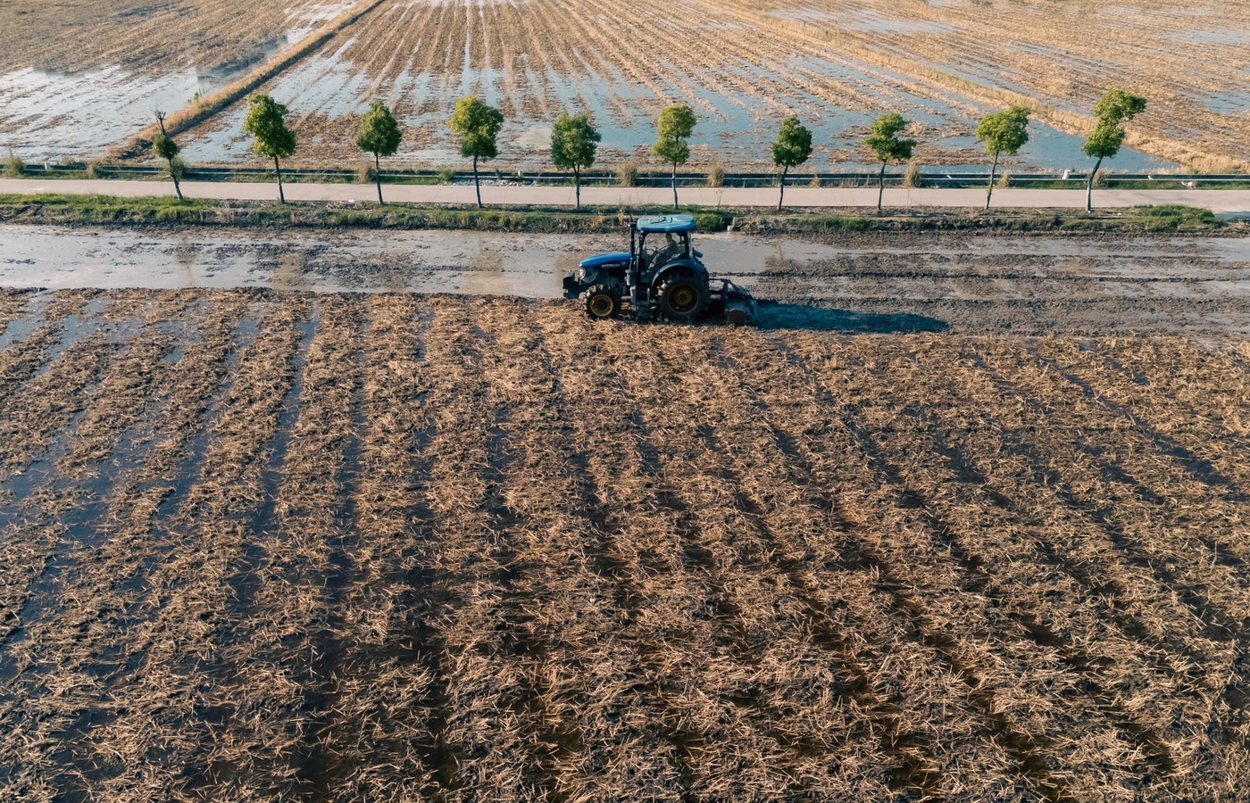 Production Machinery Tractors Practice Exam course image