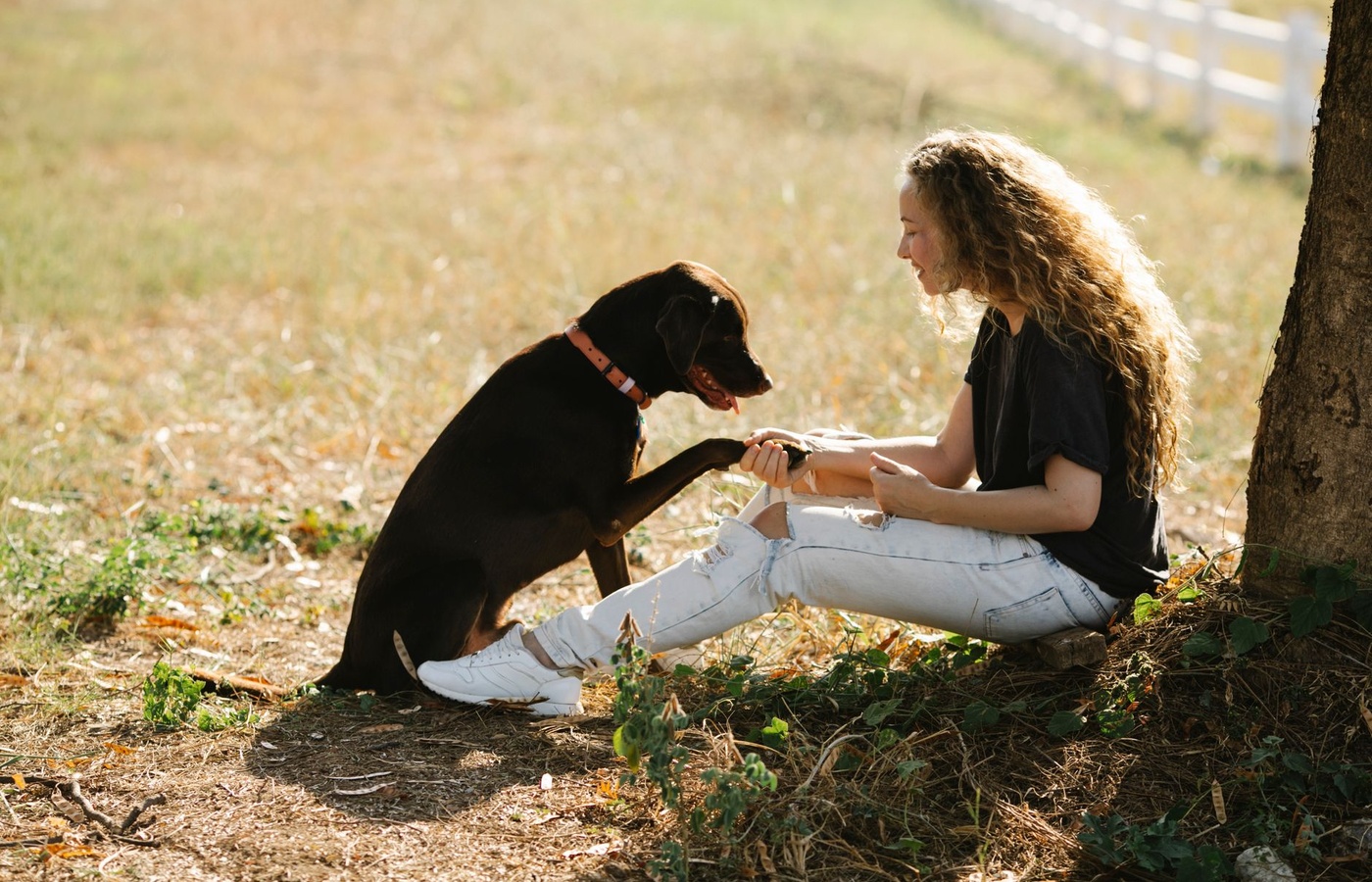 Certified Professional Dog Trainer (CPDT)