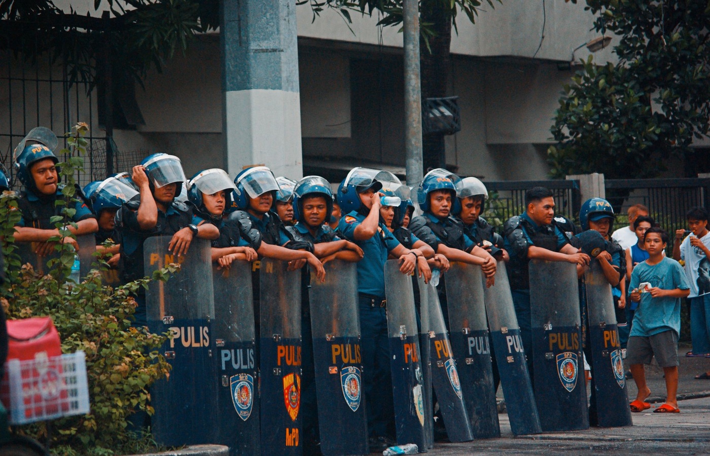 Professional Policing