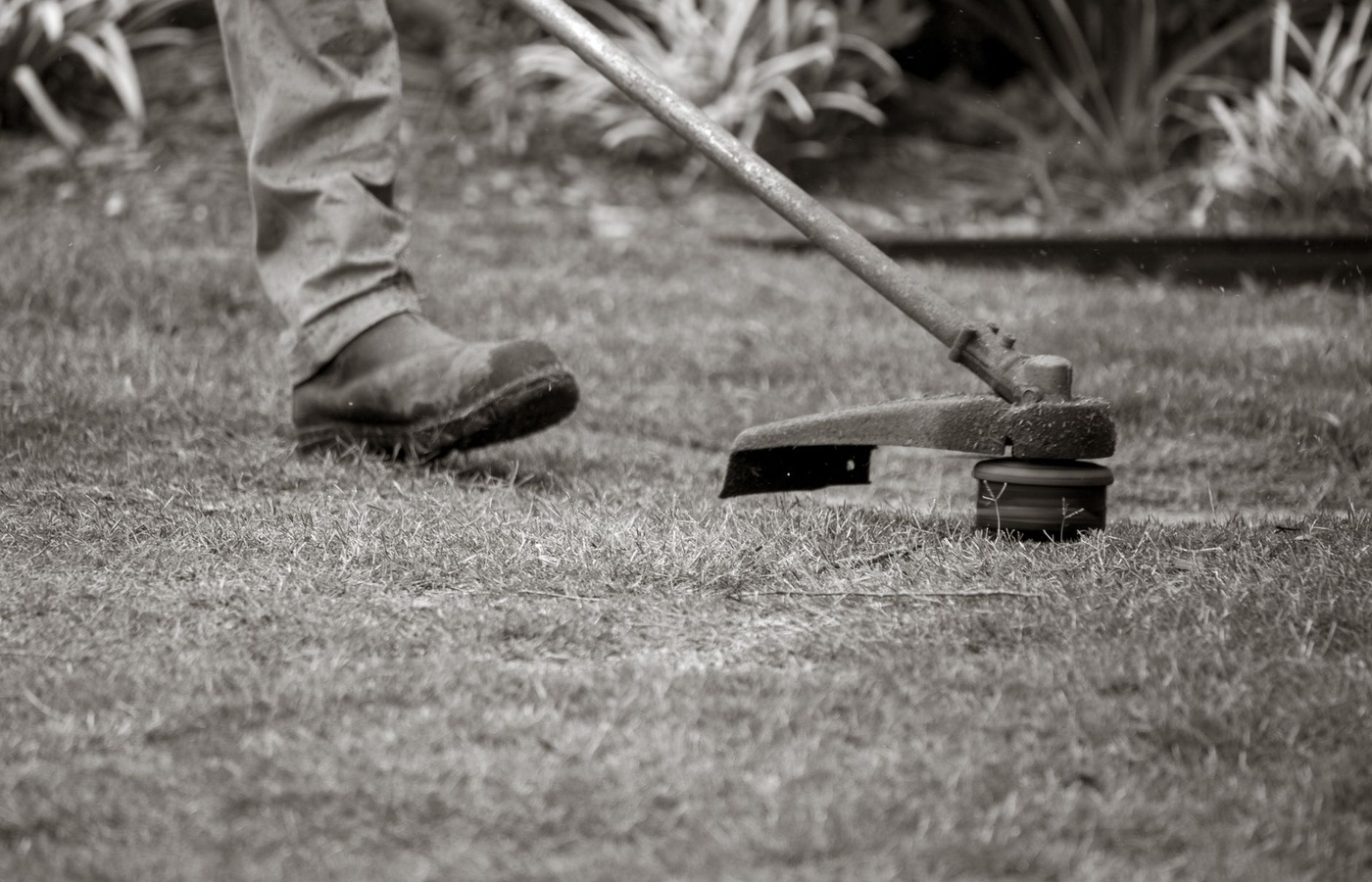 QAC Category B Landscape Maintenance