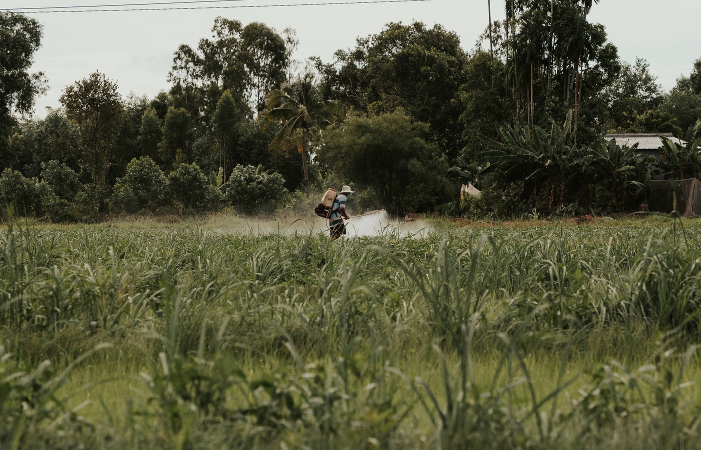 Qualified Applicator License (QAL) Category M – Non-Soil Fumigation