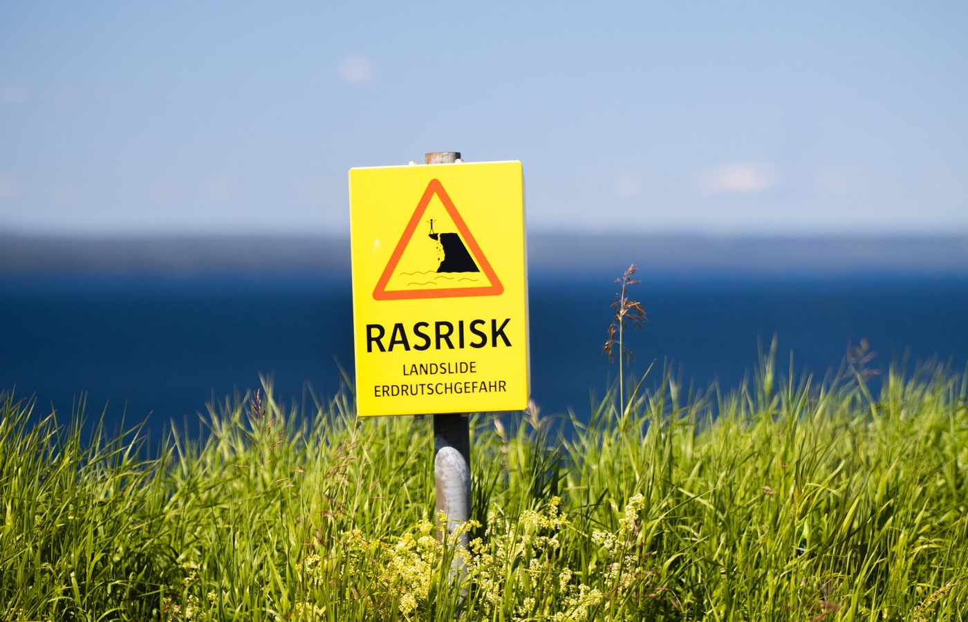 Radiation Safety Officer