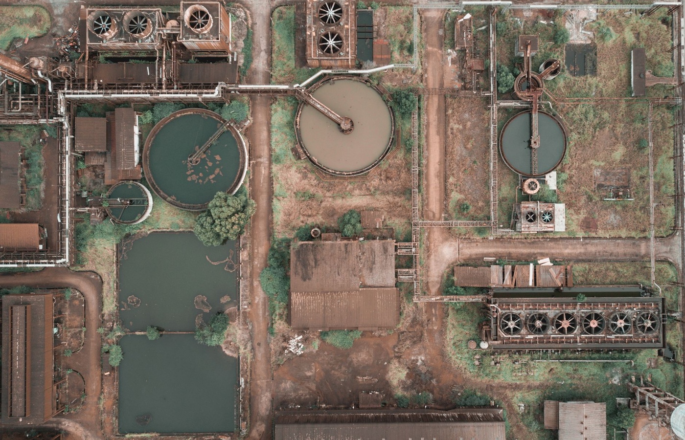 Examzify course visual