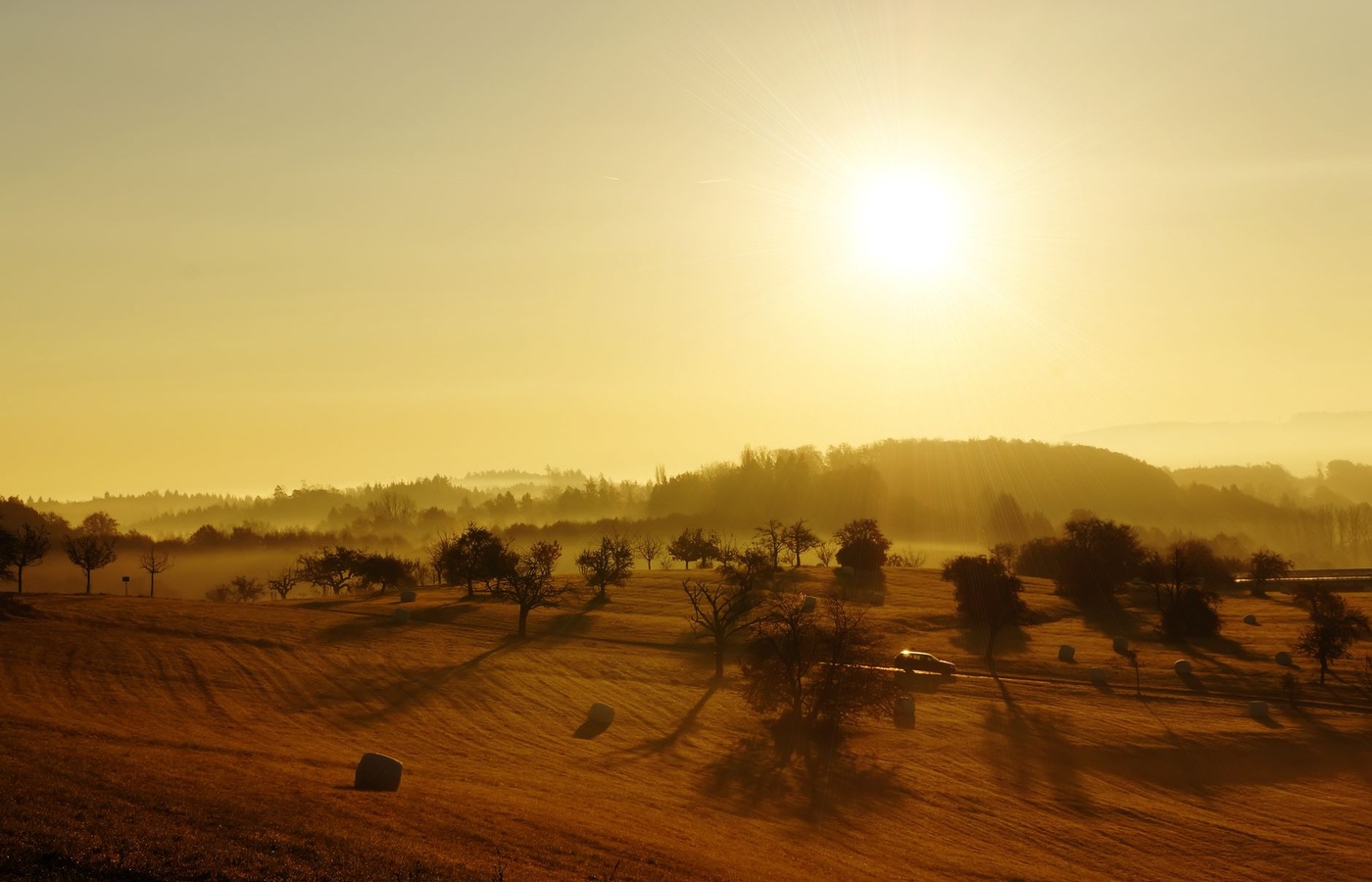 RECA Rural