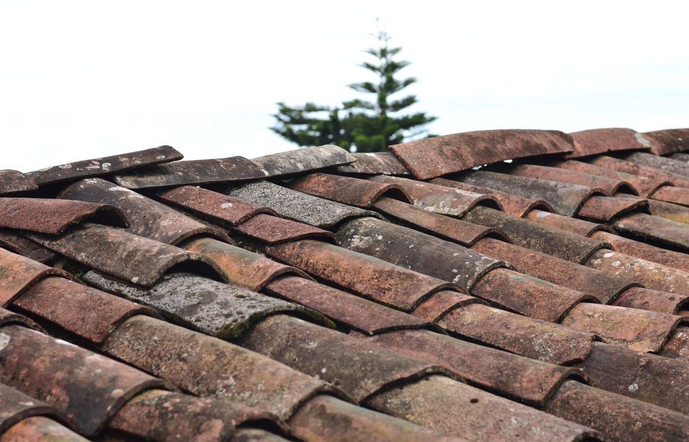 Red Seal Roofer