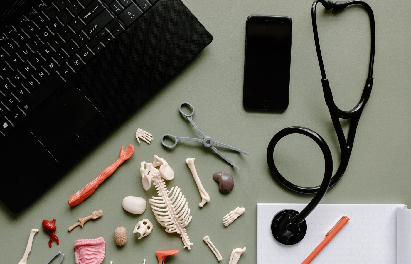 Registered Health Information Administrator (RHIA) Domain 2