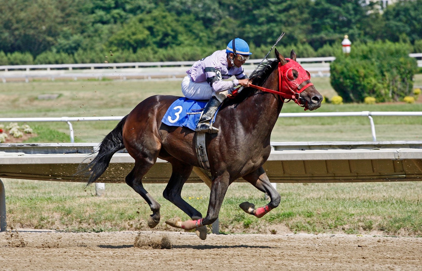 Rodeo Queen Horsemanship
