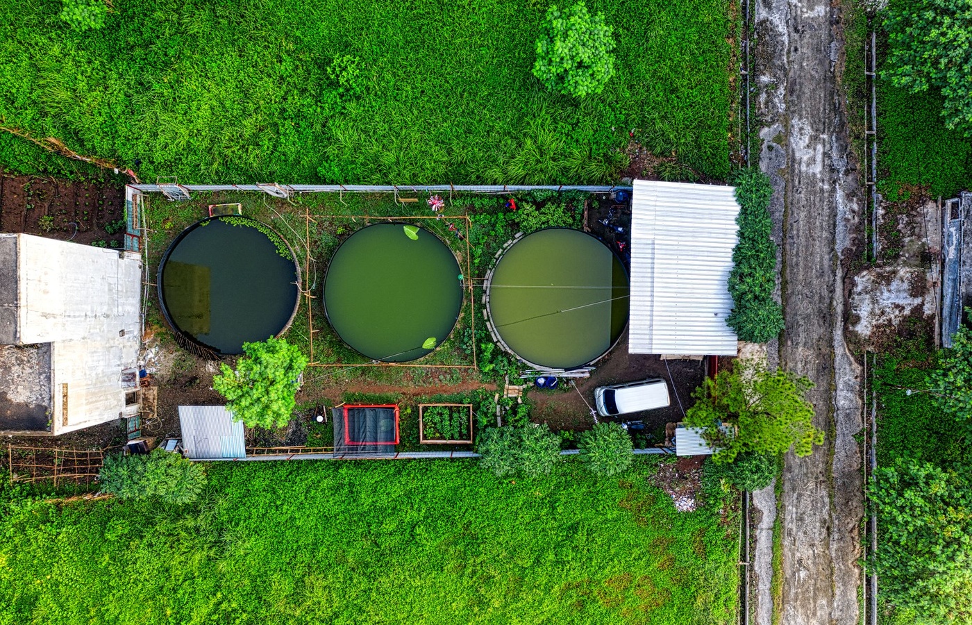 RTBECO Circular Flow Practice Test course image