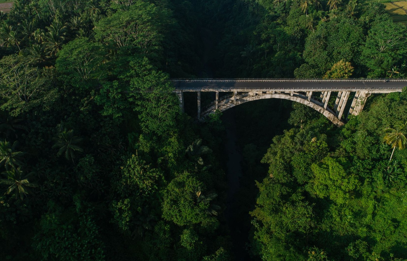 Safety Inspection of In-Service Bridges