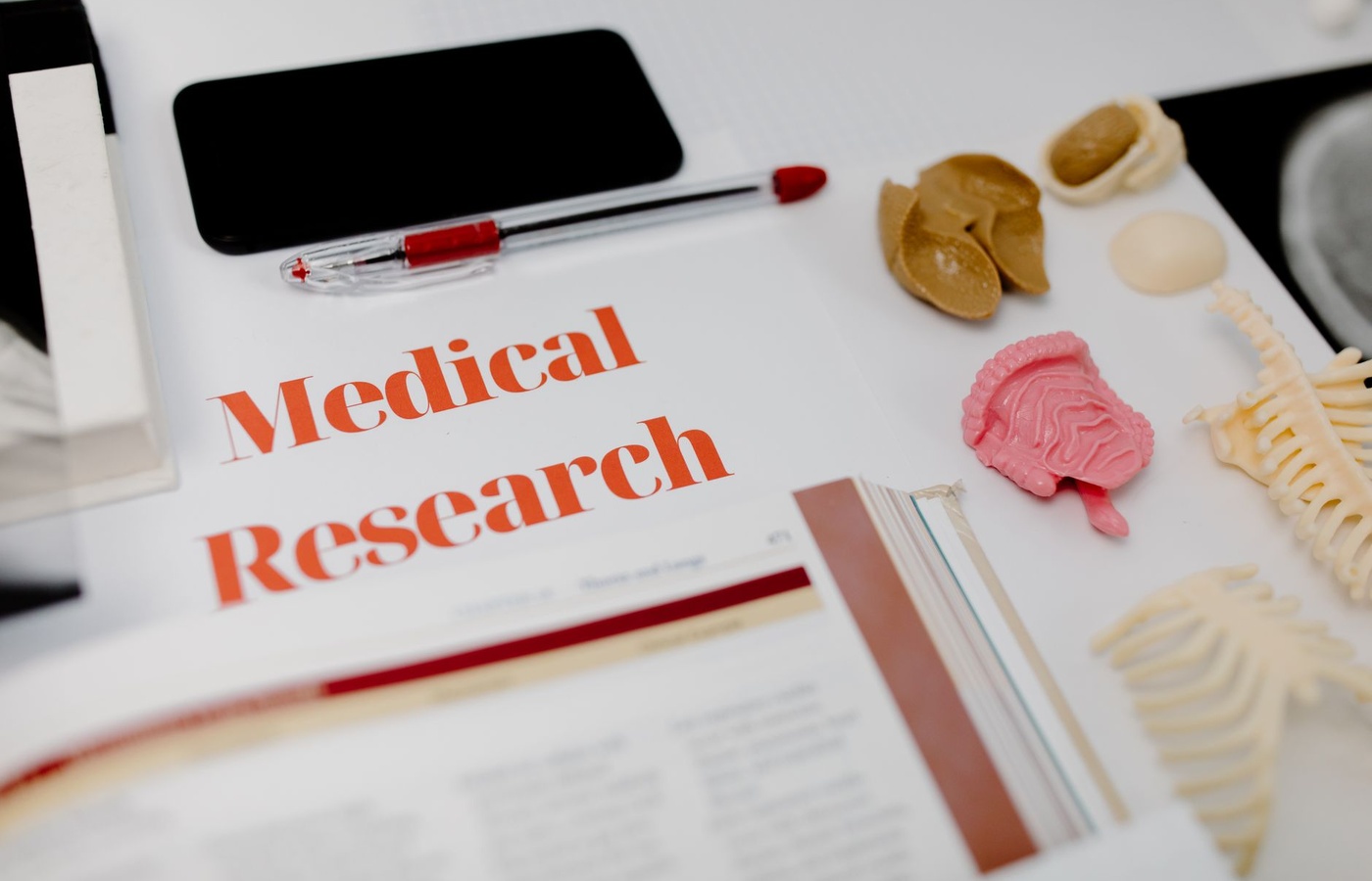 Scientific Basis of Chiropractic Care