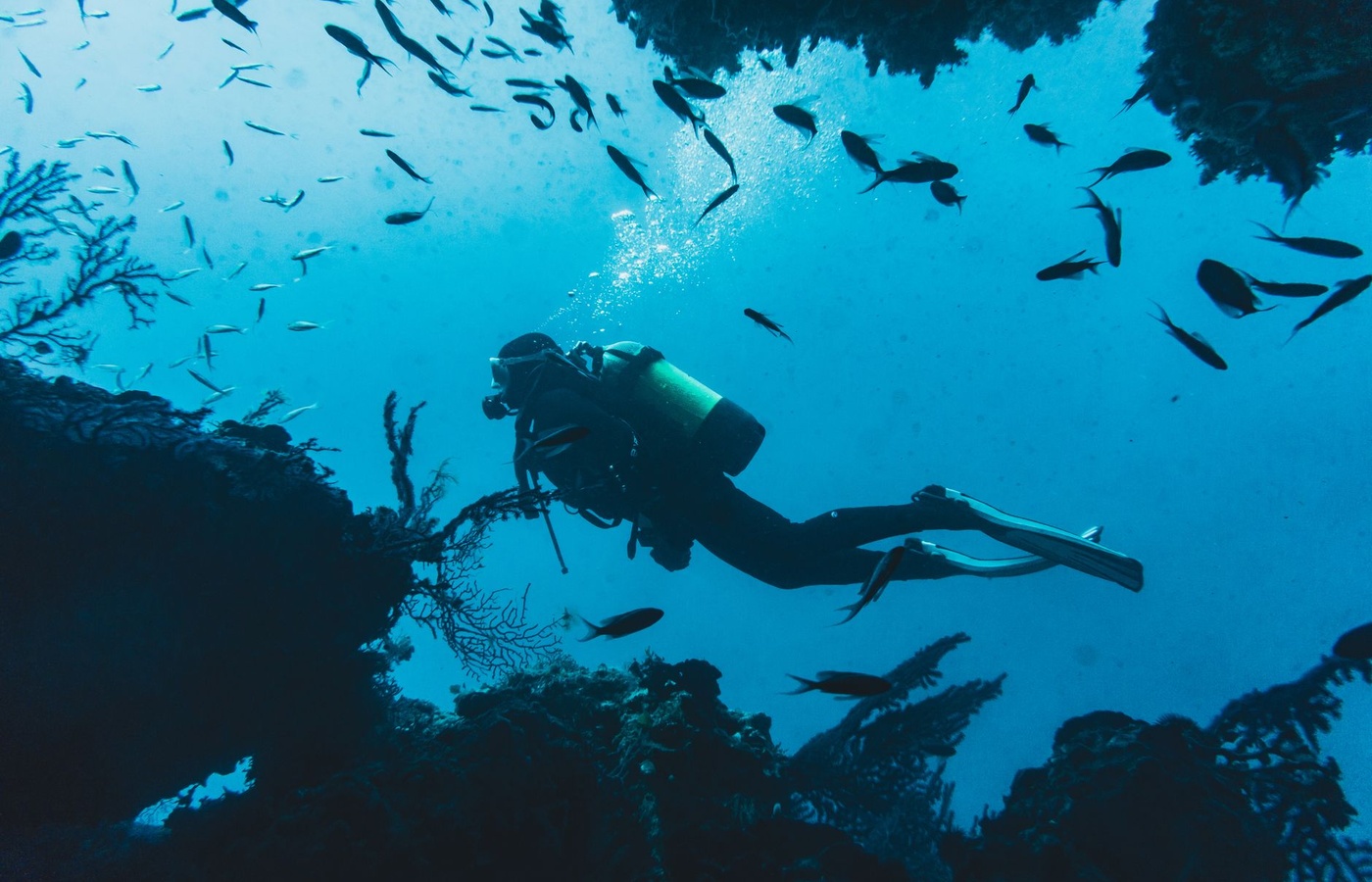 Scientific Diver Certification Exam