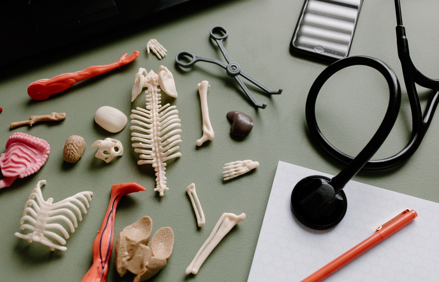 Science Olympiad Anatomy and Physiology
