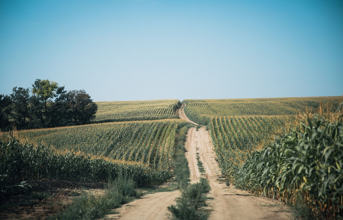 South Dakota Certified Appraiser Assessor (CAA)