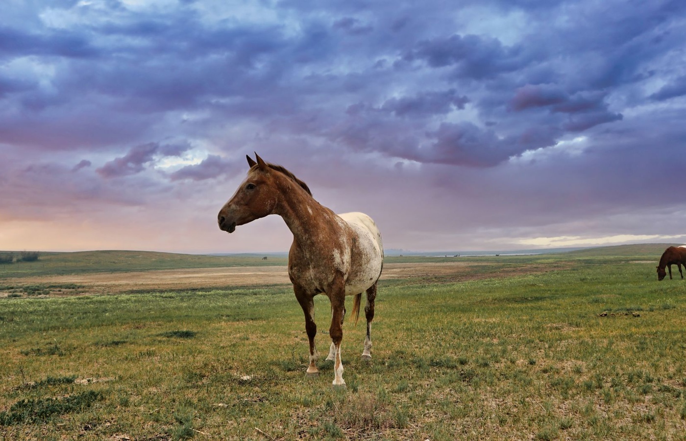South Dakota Life and Health