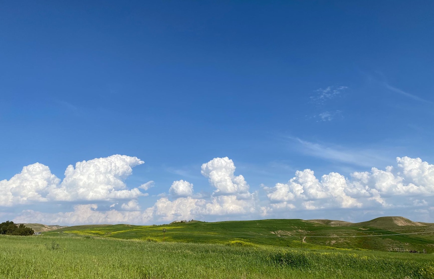 South Dakota MPJE