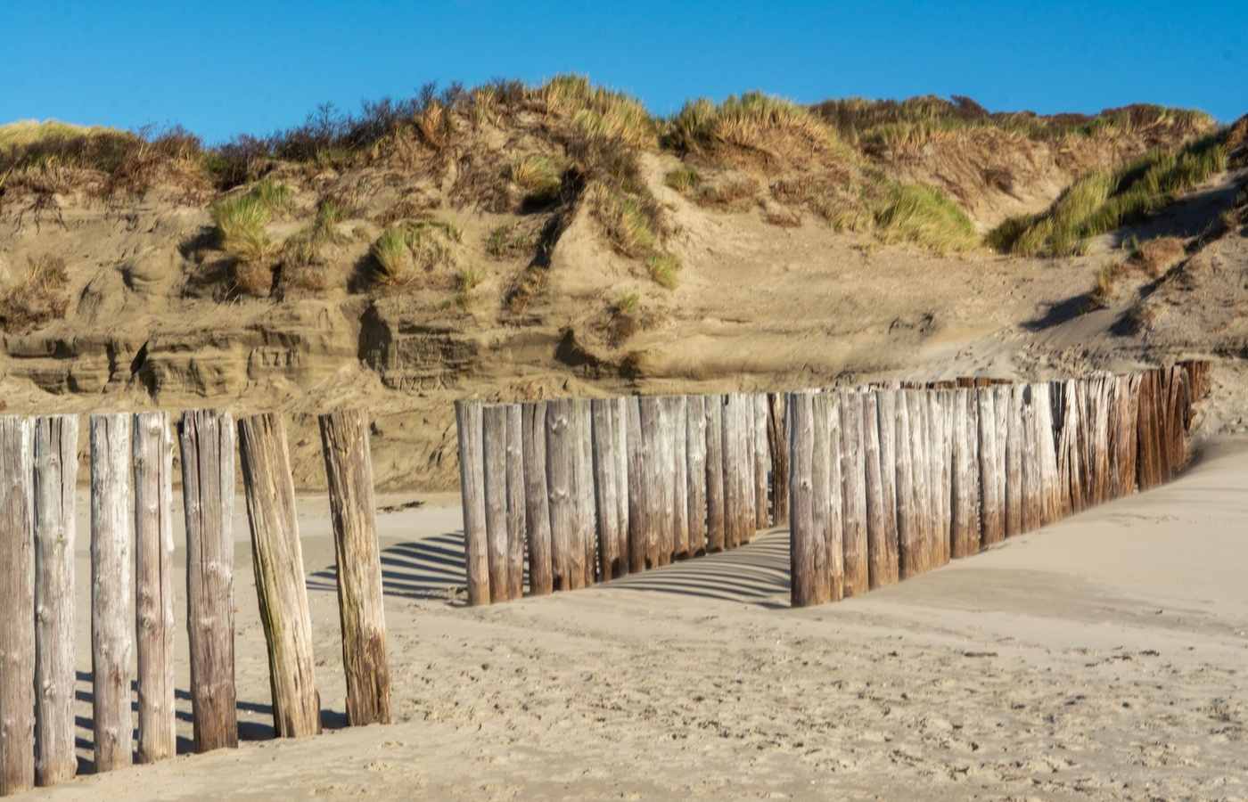 Sedimentation and Erosion Control Certification