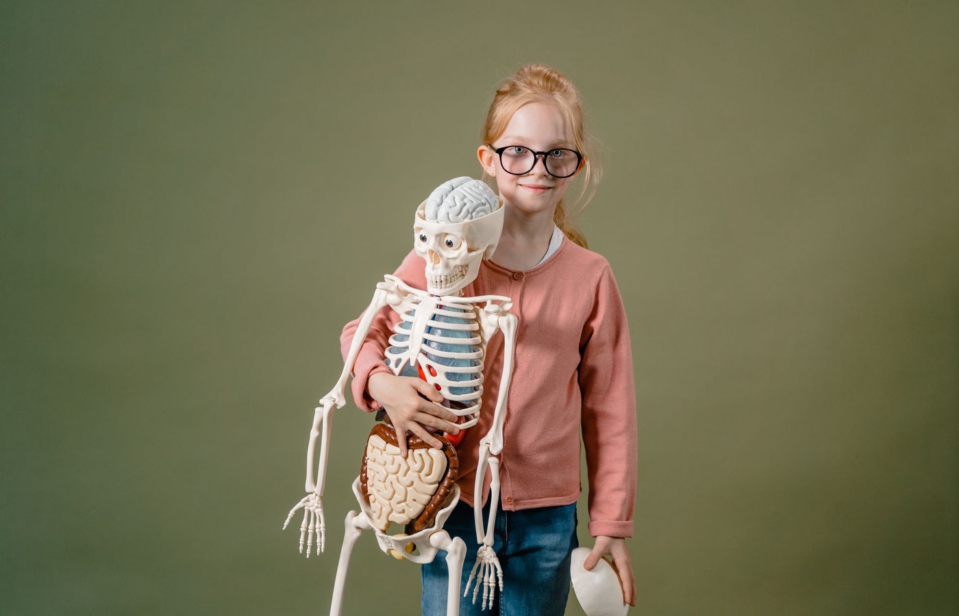 Skeletal System A&P