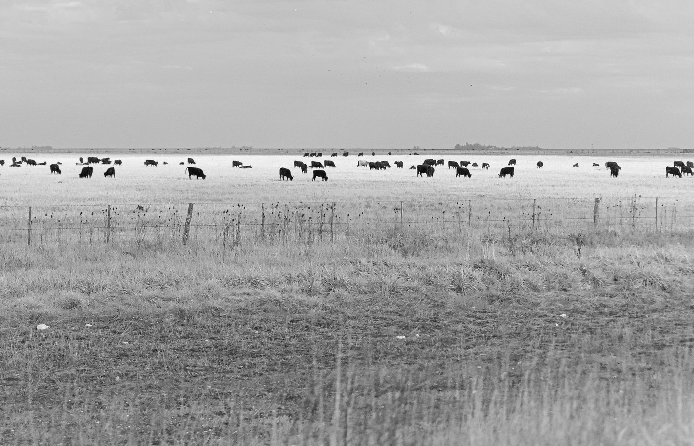 South Dakota Crop Insurance