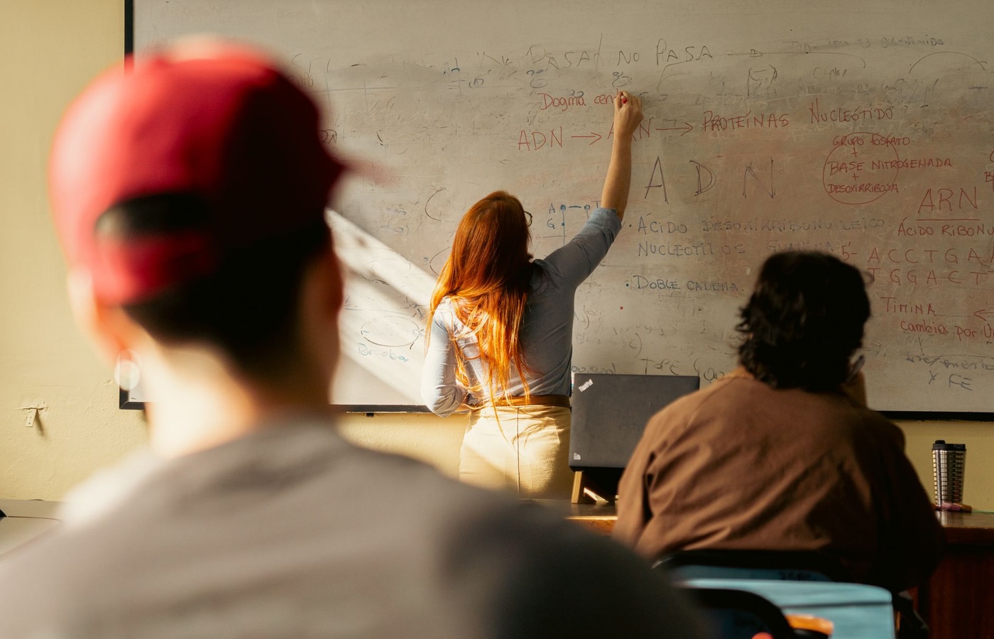 SPED Special Access Programs (SAP)