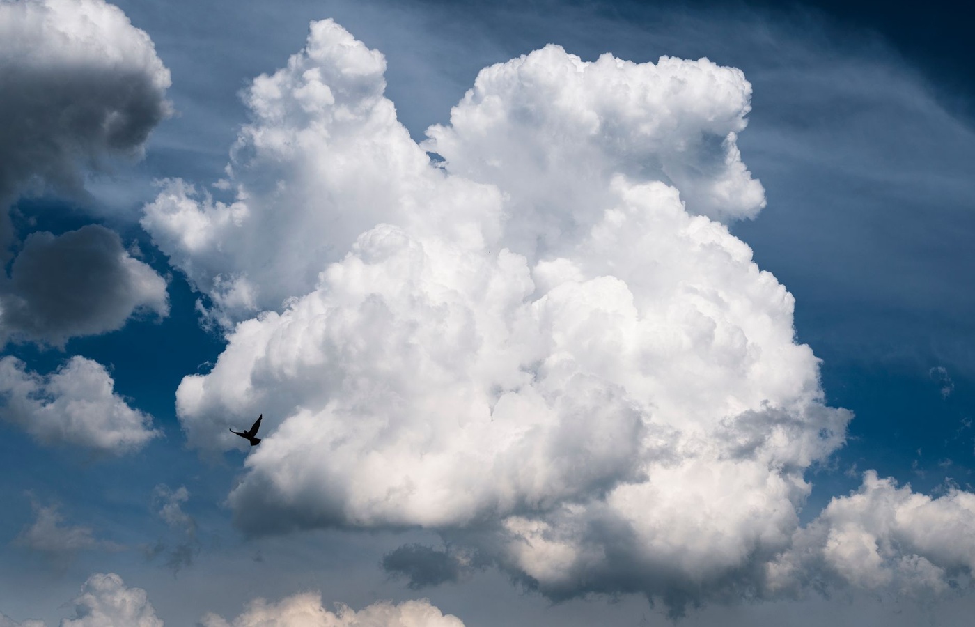 Splunk Cloud Admin Certification