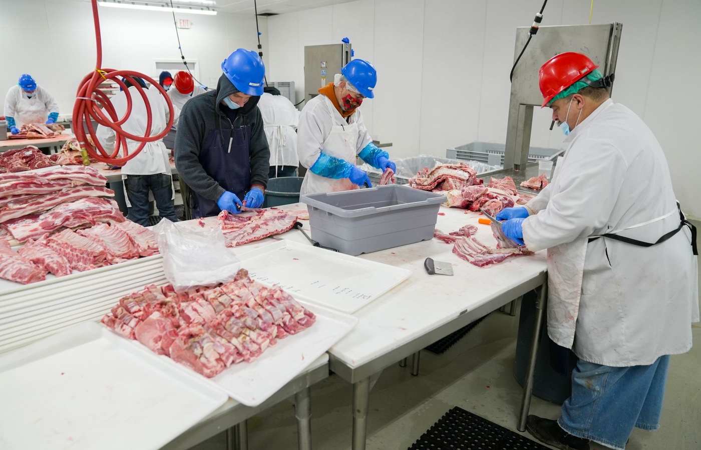 Safe Quality Food (SQF) Practitioner Certification