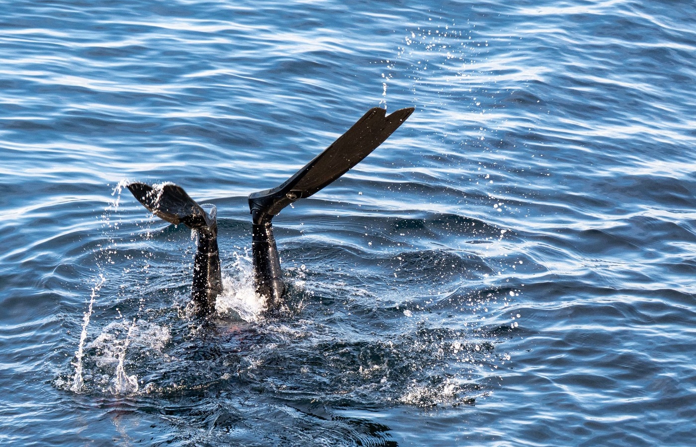 SSI DIver Stress and Rescue