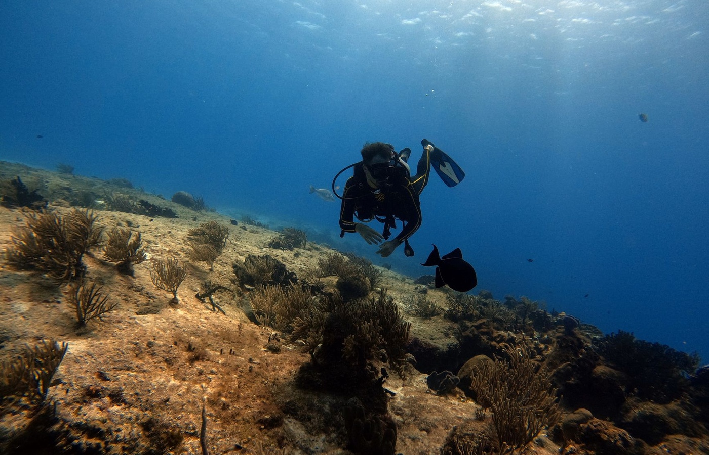 SSI Scuba