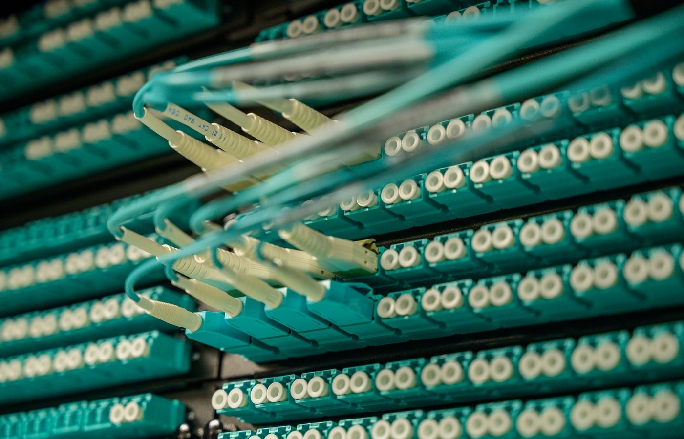 Stallion Server