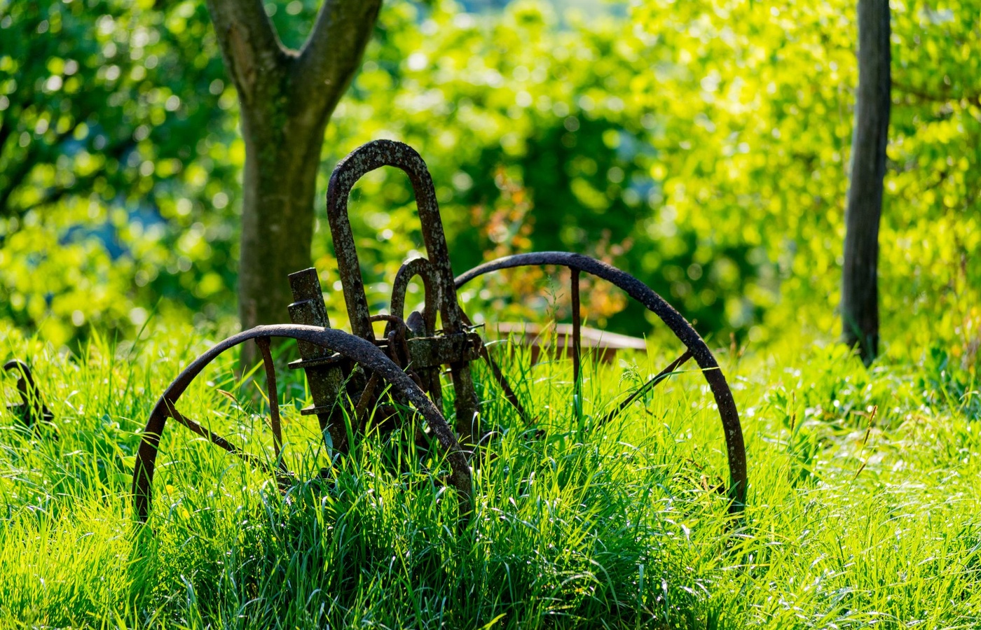 State Landscaping