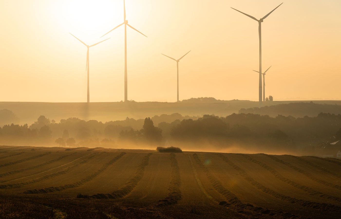 Sustainability