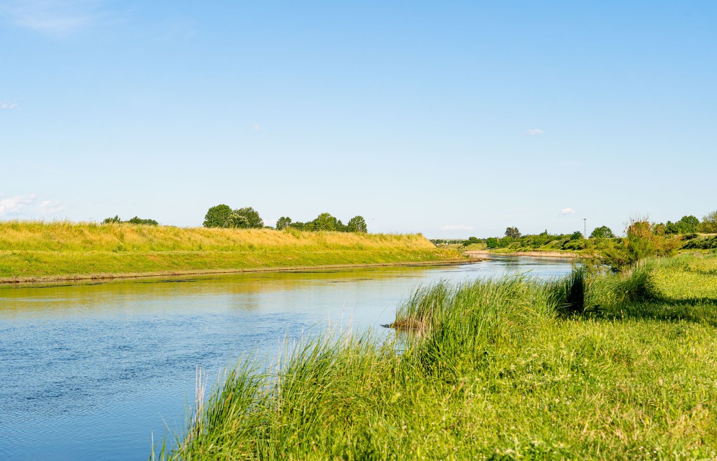 Swift River Mental Health