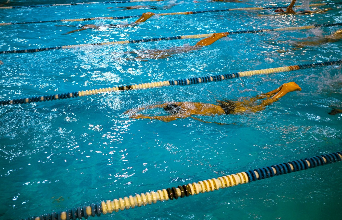 Swimming Pool Operator Certification