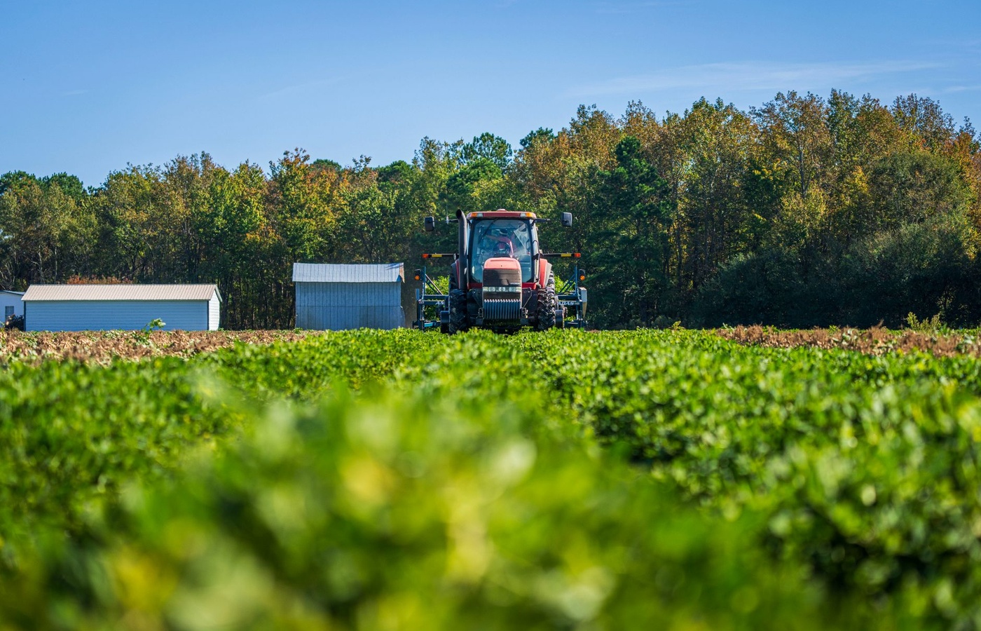 Texas A&M University (TAMU) AGEC340 Agribusiness Management Exam 2 Practice