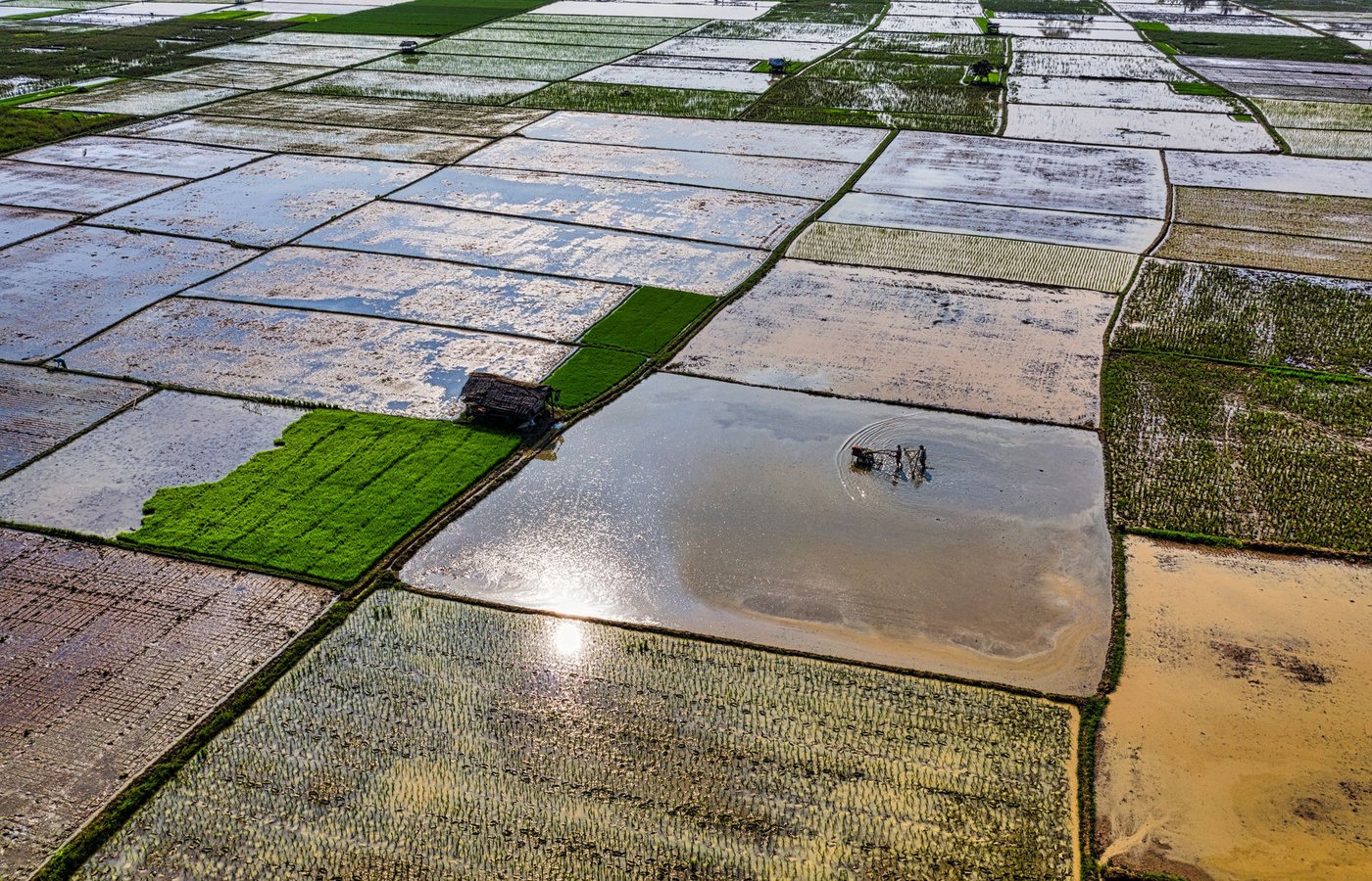 TCEQ Irrigation