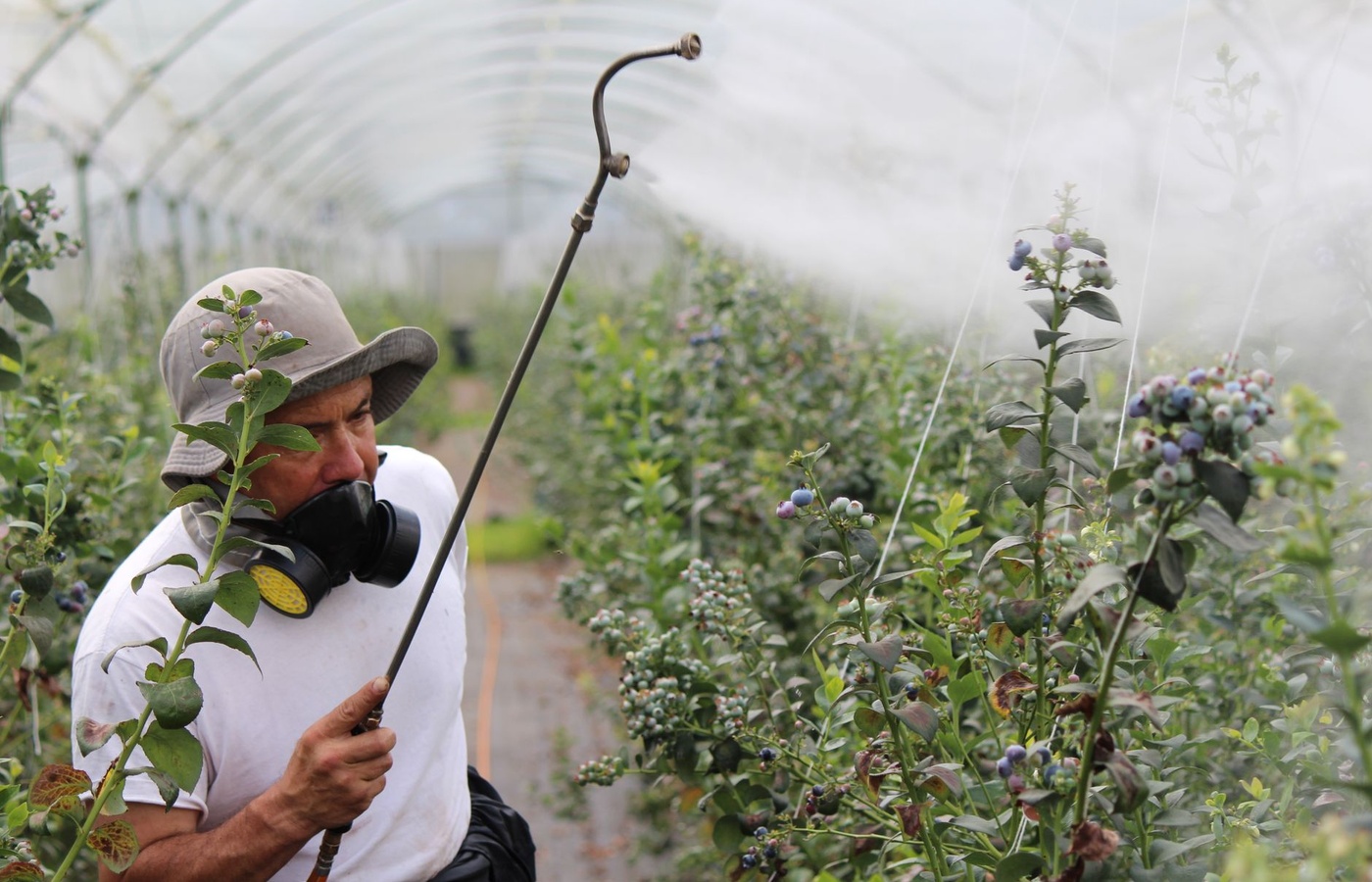 TDA Private Applicator License