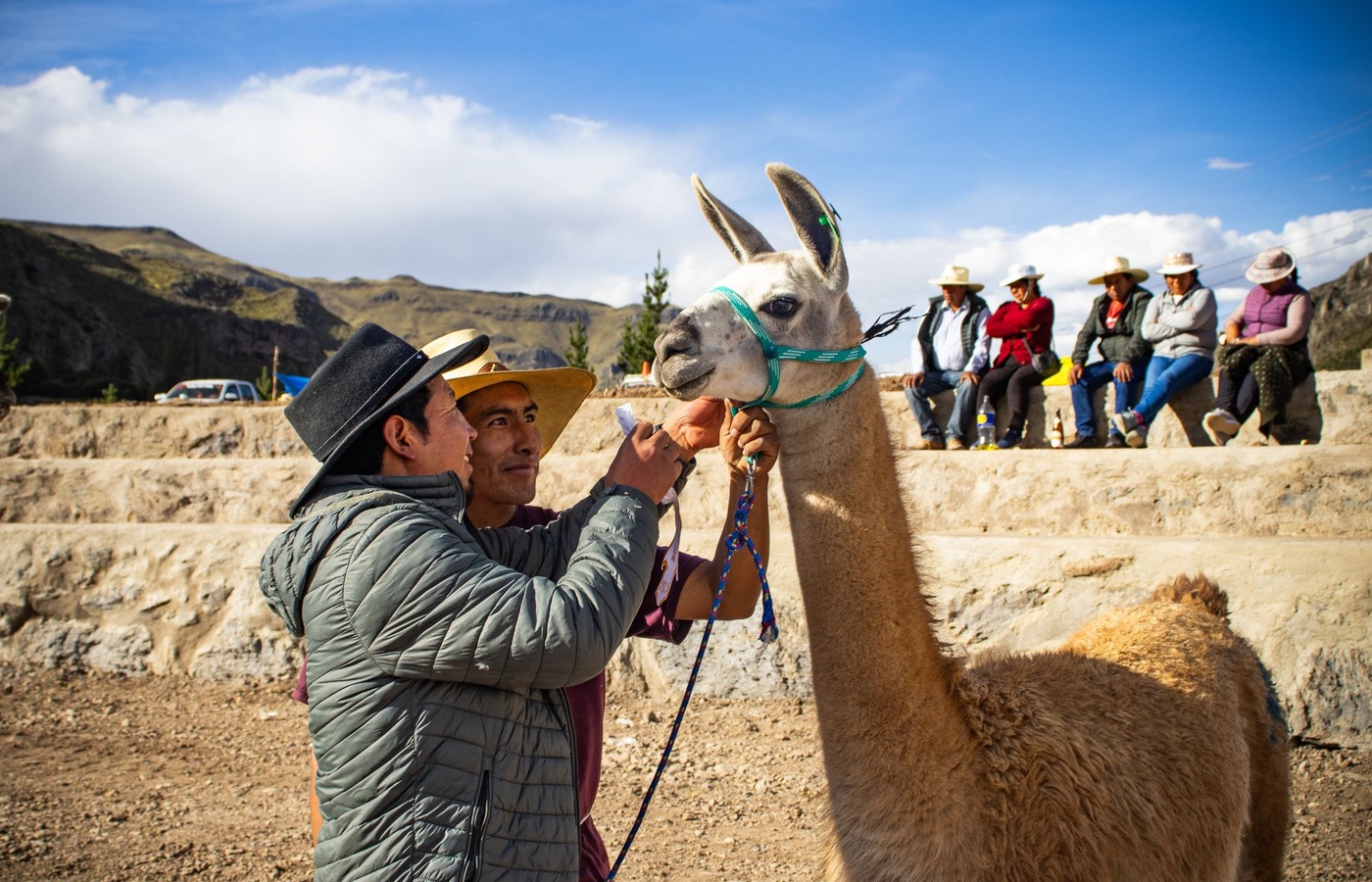 Transboundary Emerging and Exotic Animal Disease/ Exotic Animal Disease