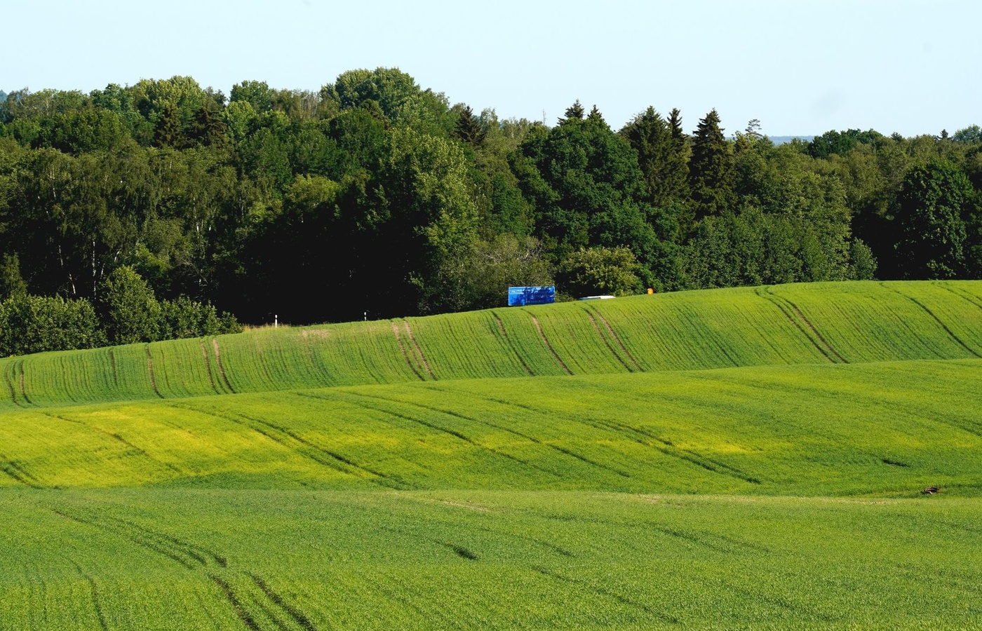 Tennessee Specific Surveying (TS)