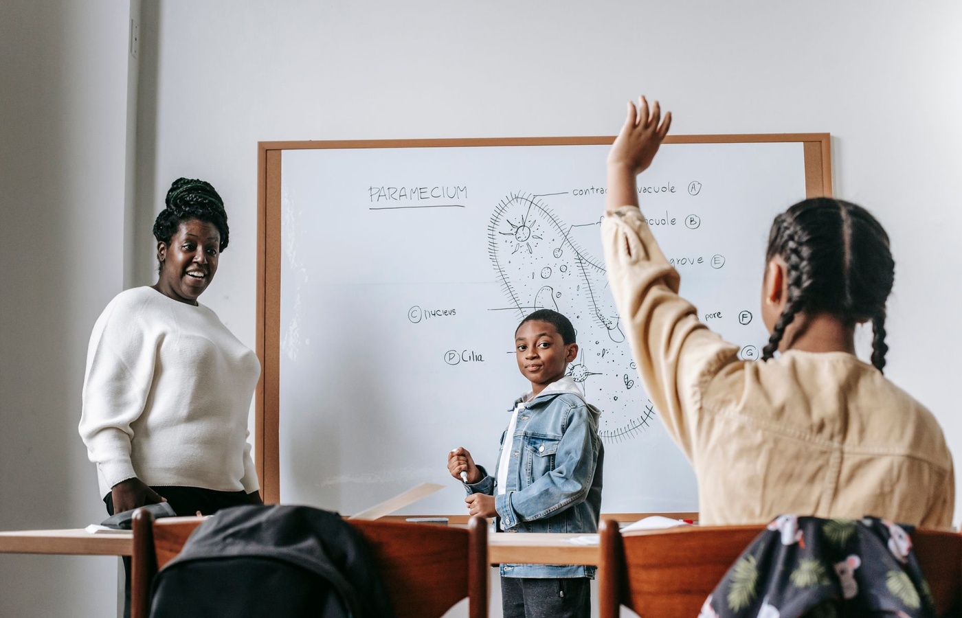 Teaching English to Speakers of Other Languages (TESOL)