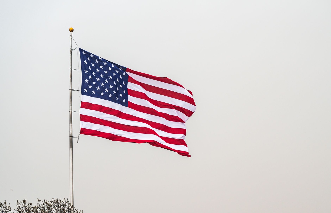 Texas Citizenship