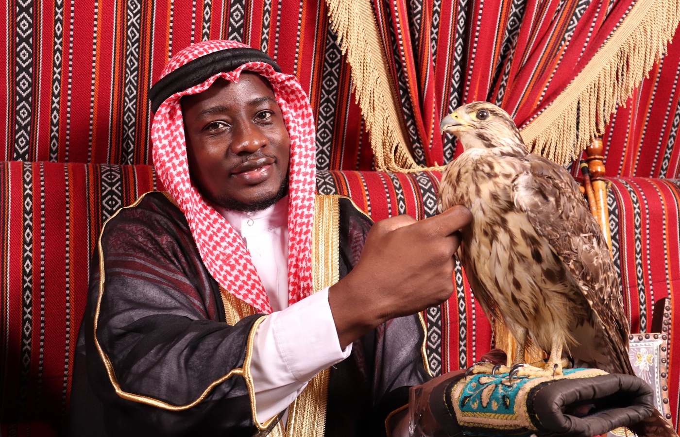 Texas Falconry