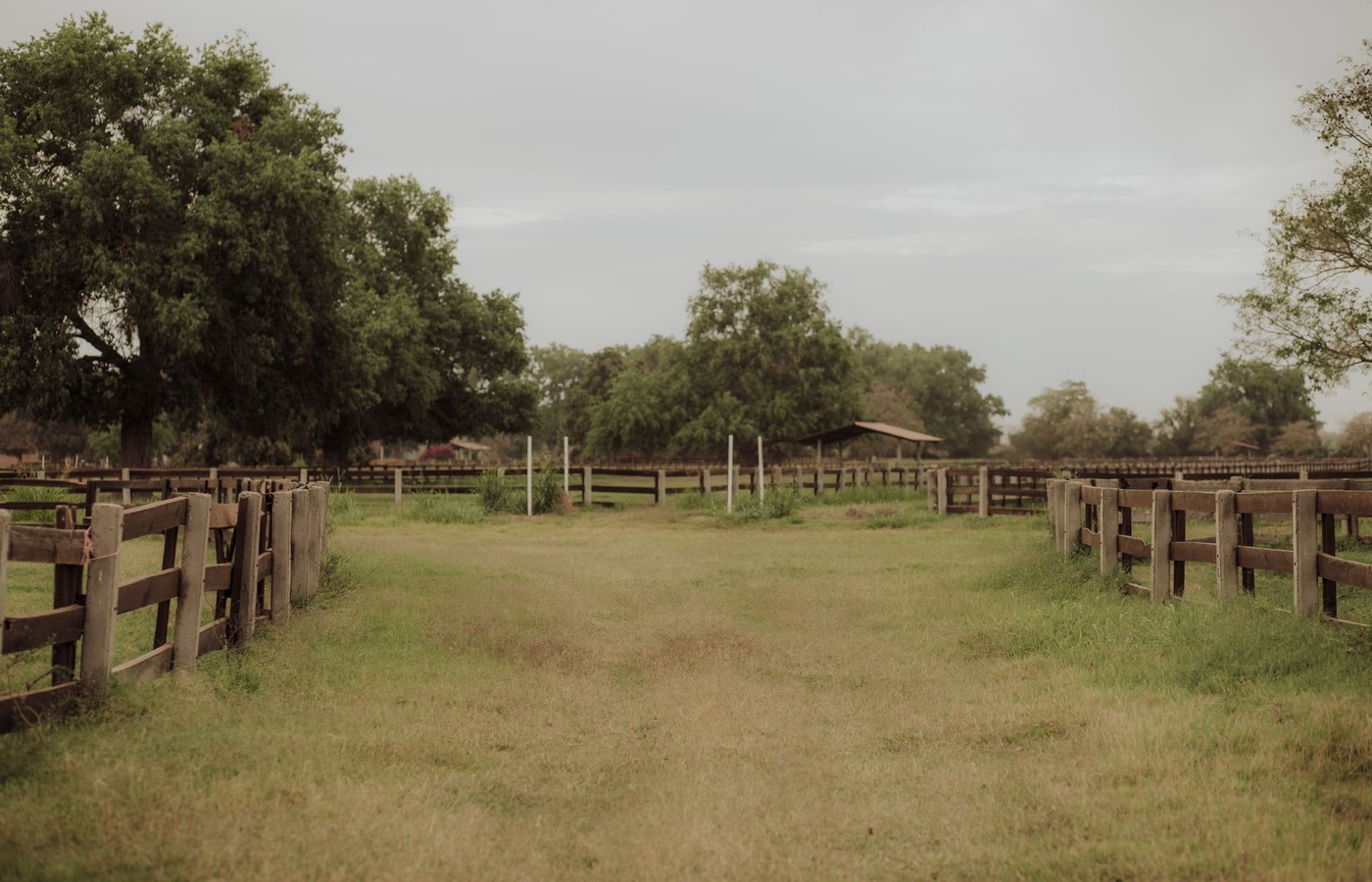 Texas FFA Nursery Landscape