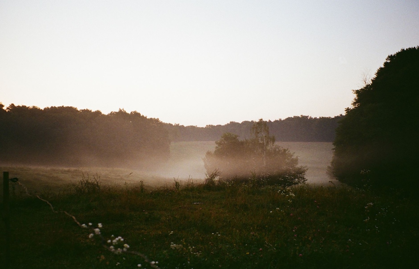 Texas Funeral Prearrangement License
