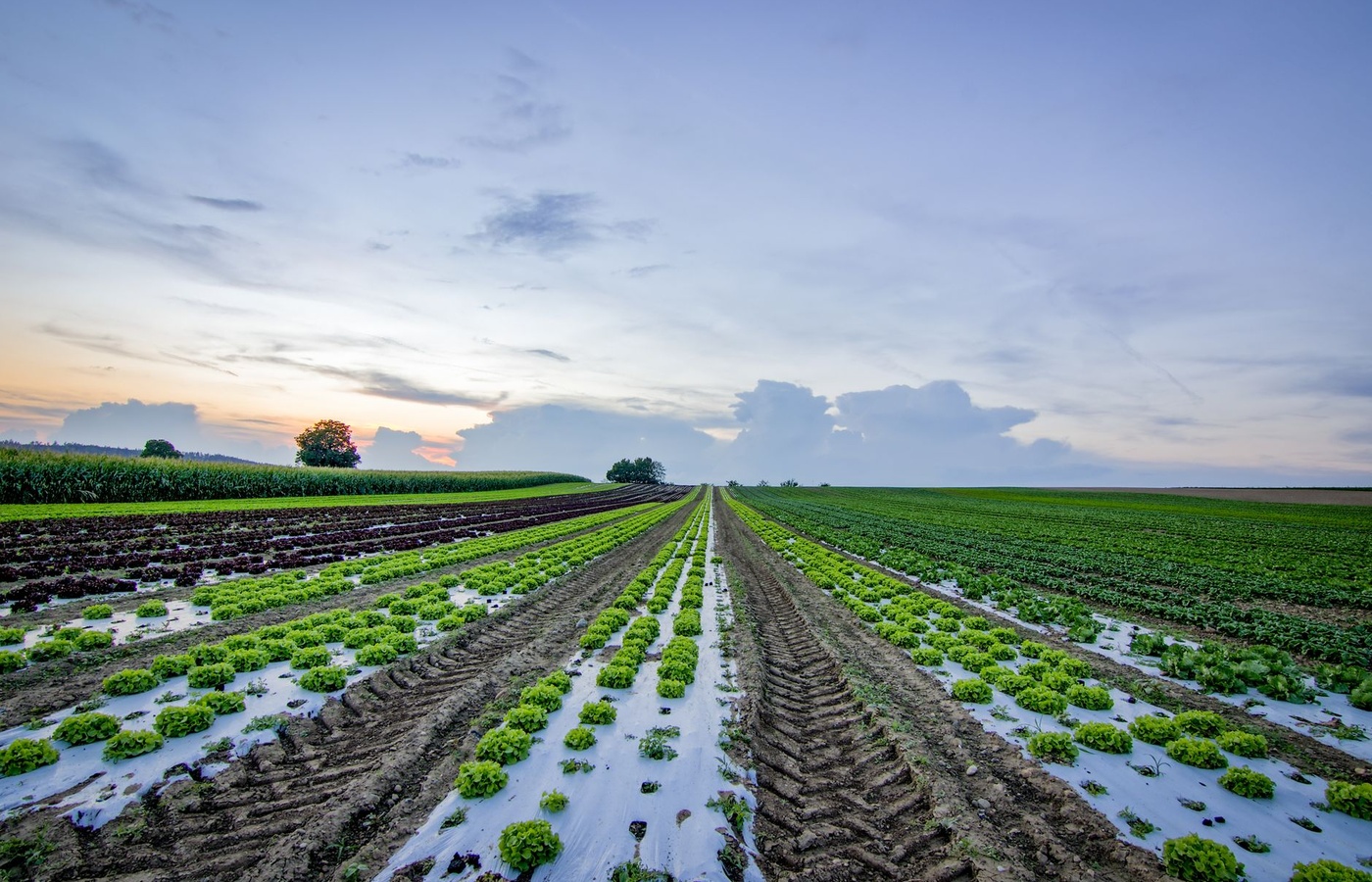 Texas Irrigation Technician