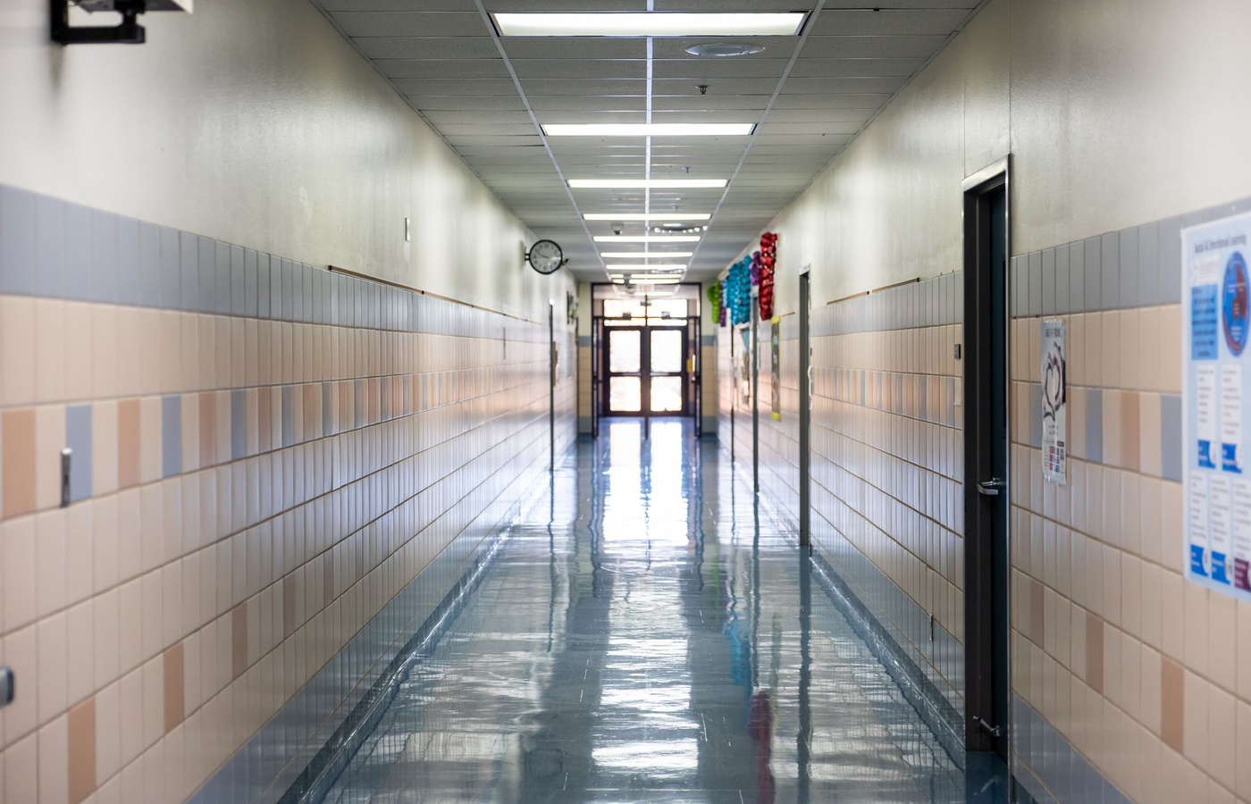 TExES School Counselor (252)
