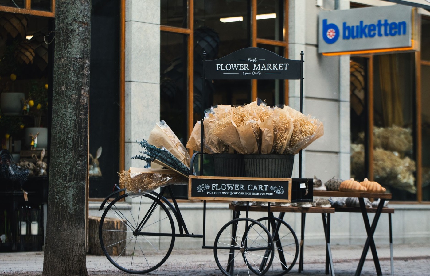 The Pushcart War