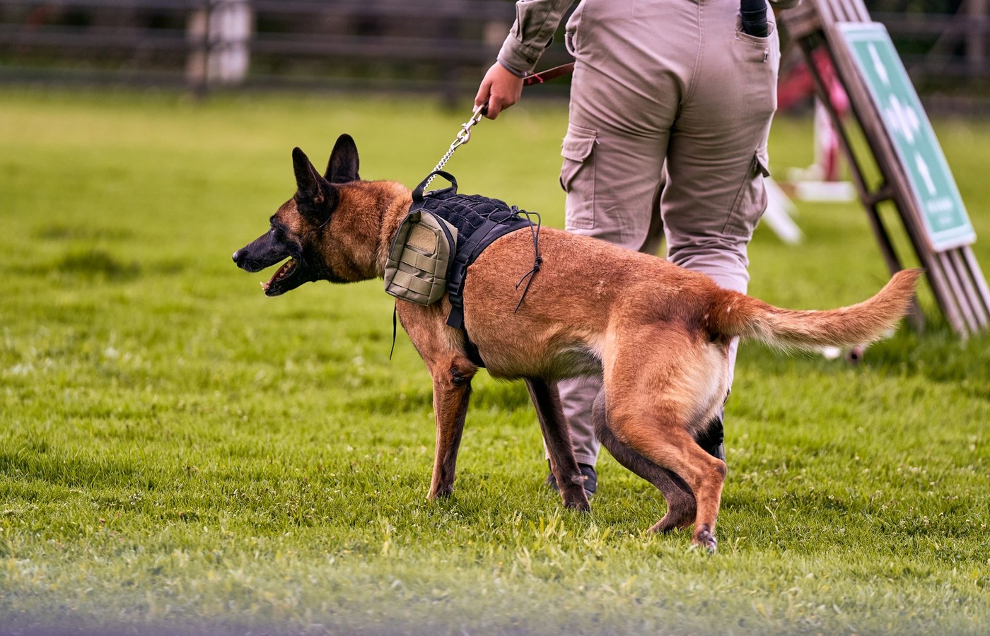 Tennessee Law Enforcement Training Academy (TLETA) Week 9